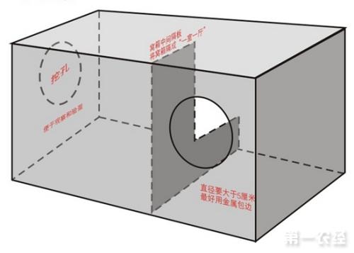 虎皮鹦鹉孵化箱怎么用是什么，虎皮鹦鹉孵化箱怎么用2021价格和图文详情