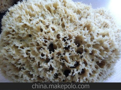 海藻绵怎么用是什么，海藻绵怎么用2021价格和图文详情
