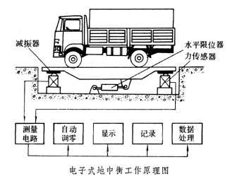 地中衡是什么，地中衡2021价格和图文详情